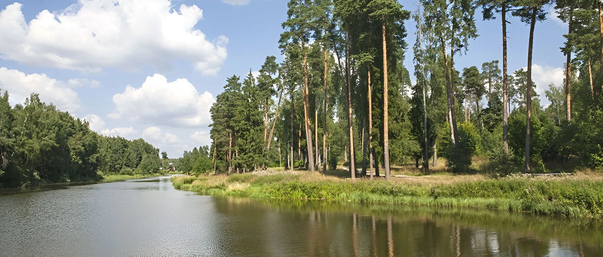 Корабельная роща&nbsp;1