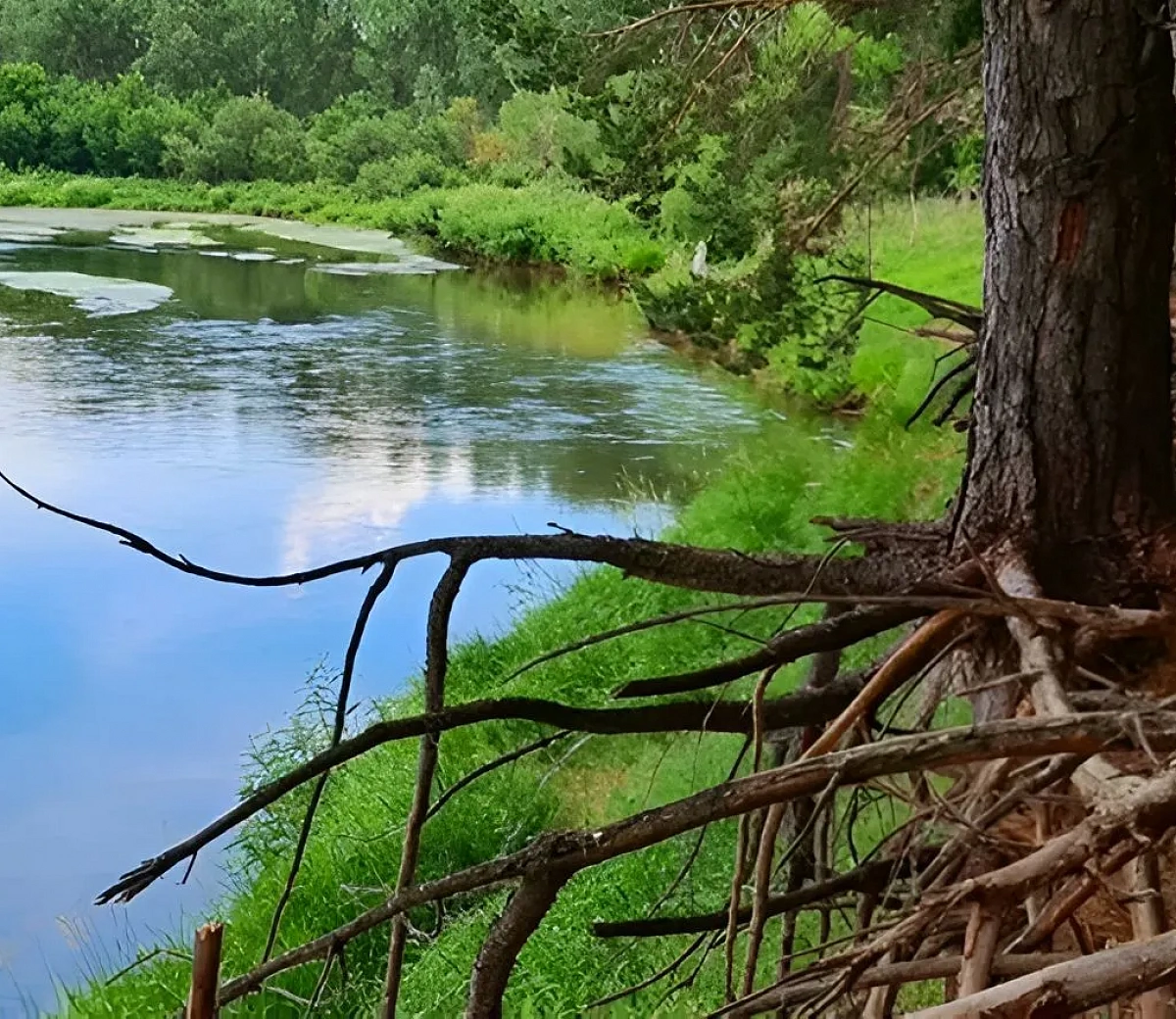 Река Зай&nbsp;4