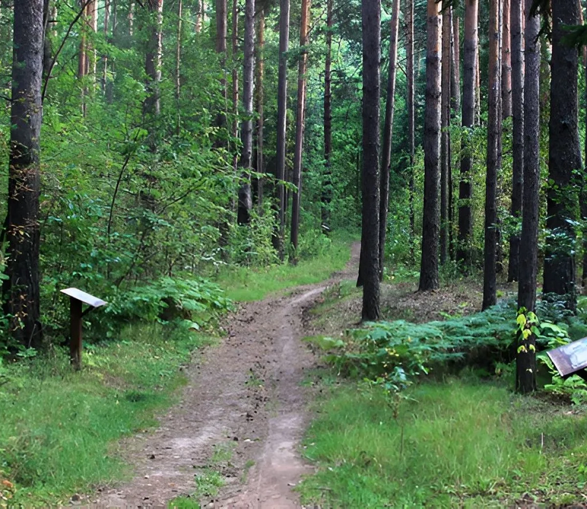 Корабельная роща&nbsp;4